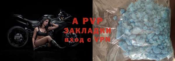 индика Бородино