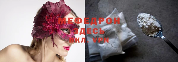 индика Бородино