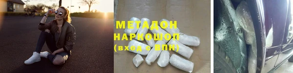 индика Бородино