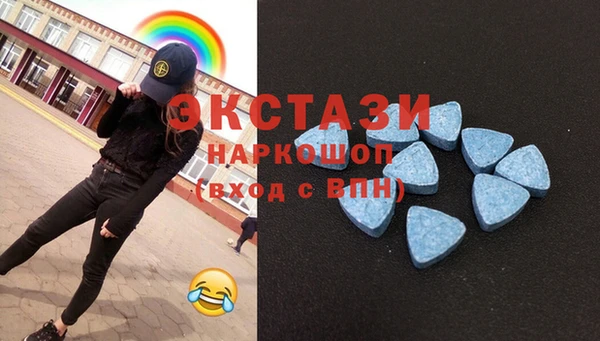 индика Бородино