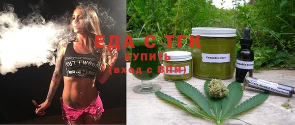 индика Бородино