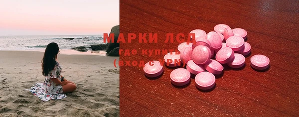 индика Бородино