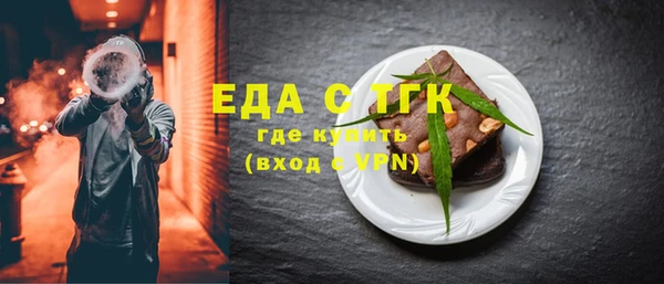 индика Бородино